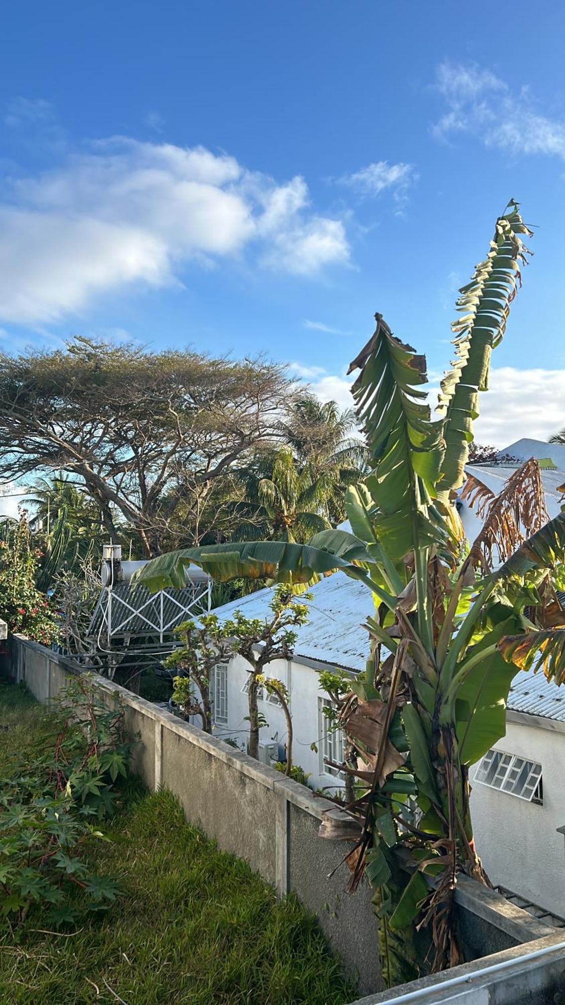 Coastal View Apartments 格兰贝伊 外观 照片